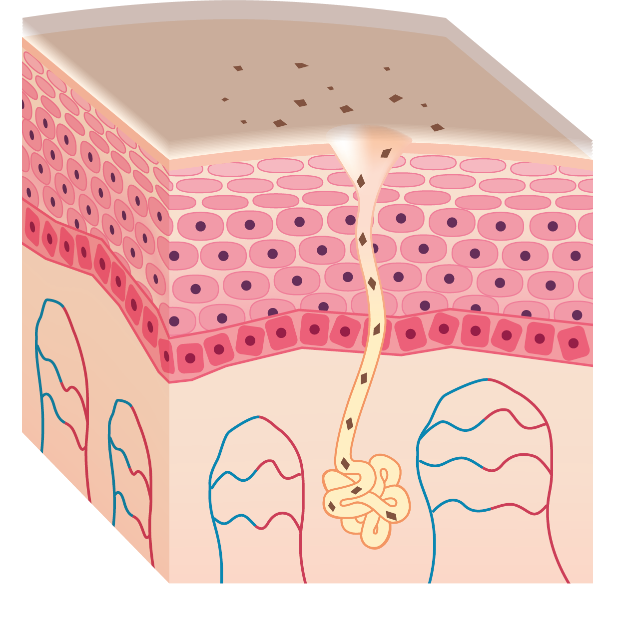 Masaža lica eteričnim uljima
